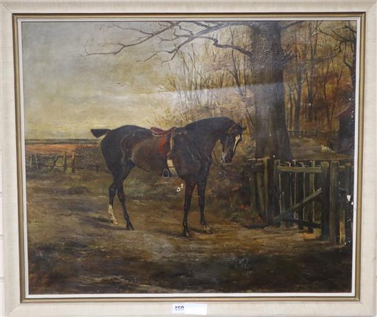 N. Drummond, oil on canvas, Saddled horse at a country gate, signed, 62 x 75cm